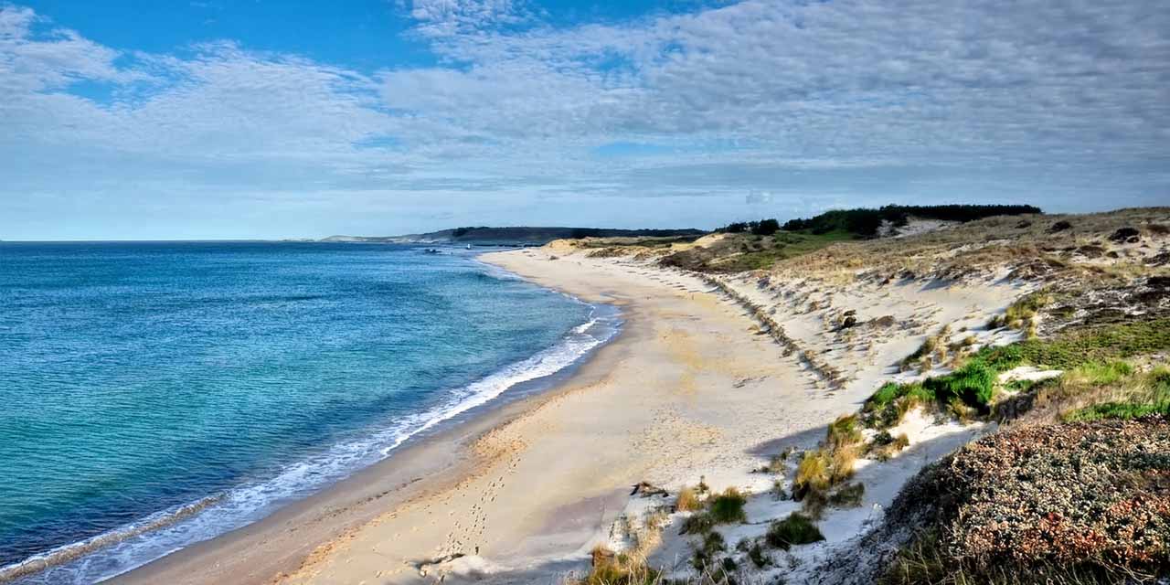Abenteuer auf sable island