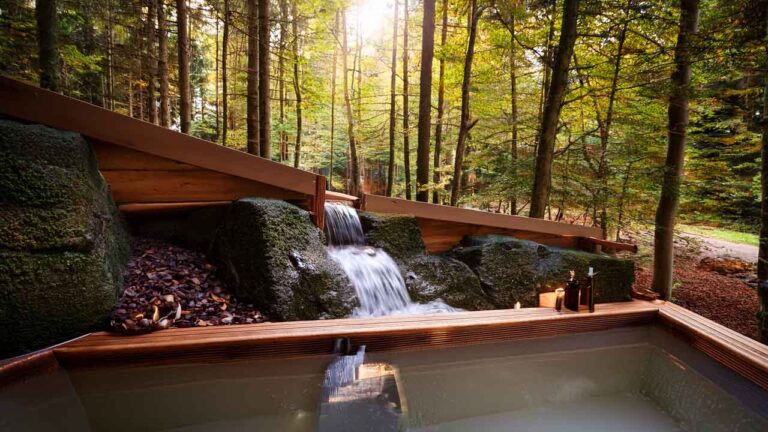 Waldschwimmbad Buchholz