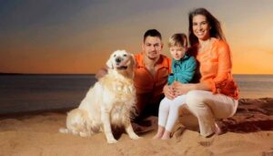 Die besten Hundestrände in Europa