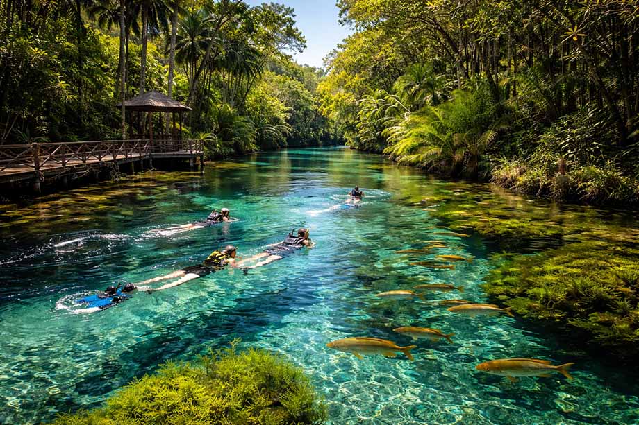 Rio Sucuri in Brasilien: Glasklares Naturwunder